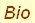 Artist's Bio